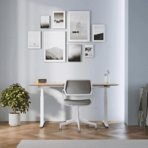 Eurodesk smartline zit_sta bureau thuiswerkplek